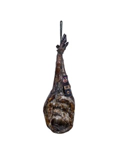 Paleta 5B