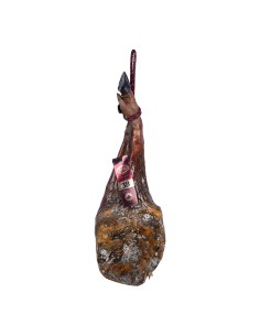 Paleta 3B cebo